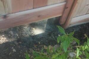 Carpentry Fence Extension Install - Carpentry