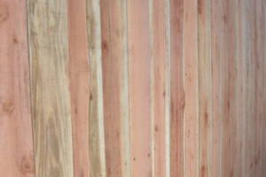 Carpentry Fence Gate Entrance - Carpentry