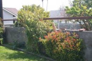 Carpentry Fence Gate Rebuild - Carpentry