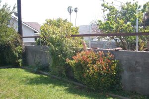 Carpentry Fence Gate Rebuild - Carpentry
