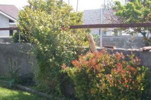 Carpentry Fence Gate Rebuild - Carpentry