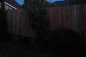 Carpentry Fence Gate Rebuild - Carpentry