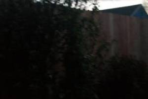 Carpentry Fence Gate Rebuild - Carpentry