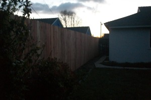 Carpentry Fence Gate Rebuild - Carpentry