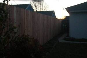 Carpentry Fence Gate Rebuild - Carpentry