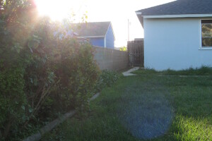 Carpentry Fence Gate Rebuild - Carpentry
