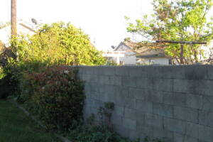 Carpentry Fence Gate Rebuild - Carpentry