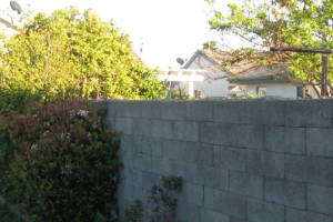 Carpentry Fence Gate Rebuild - Carpentry