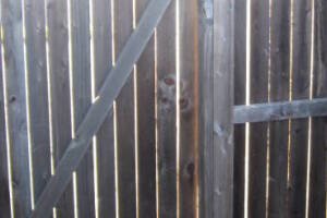 Carpentry Fence Gate Rebuild - Carpentry