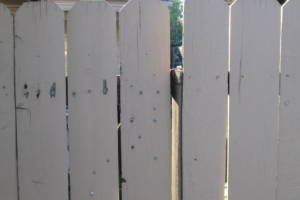Carpentry Fence Gate Repair - Carpentry