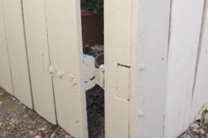 Carpentry Fence Gate Repair - Carpentry