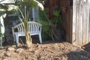 Carpentry Fence Install Replacement - Carpentry