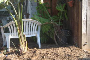 Carpentry Fence Install Replacement - Carpentry