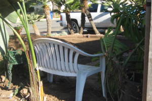 Carpentry Fence Install Replacement - Carpentry
