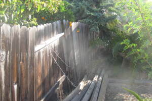 Carpentry Fence Install Replacement - Carpentry