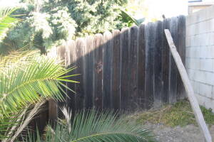 Carpentry Fence Install Replacement - Carpentry