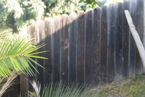 Carpentry Fence Install Replacement - Carpentry