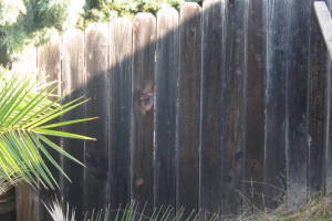 Carpentry Fence Install Replacement - Carpentry