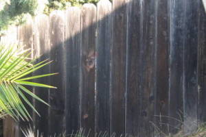 Carpentry Fence Install Replacement - Carpentry