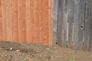Carpentry Fence Install Replacement - Carpentry