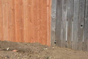 Carpentry Fence Install Replacement - Carpentry