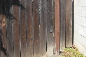 Carpentry Fence Install Replacement - Carpentry