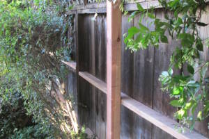 Carpentry Fence Leaning Repair - Carpentry