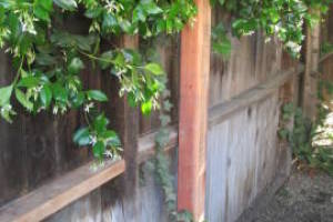 Carpentry Fence Leaning Repair - Carpentry