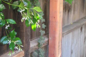 Carpentry Fence Leaning Repair - Carpentry