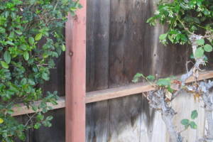 Carpentry Fence Leaning Repair - Carpentry