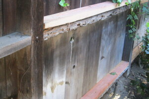 Carpentry Fence Leaning Repair - Carpentry