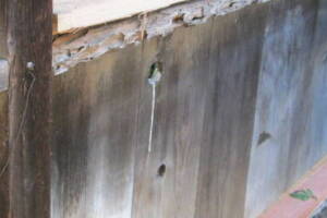 Carpentry Fence Leaning Repair - Carpentry