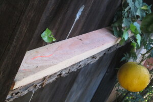 Carpentry Fence Leaning Repair - Carpentry