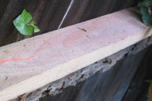 Carpentry Fence Leaning Repair - Carpentry