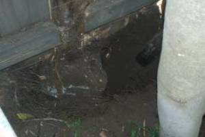 Carpentry Fence Post Repair - Carpentry