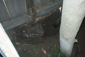 Carpentry Fence Post Repair - Carpentry