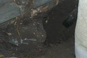 Carpentry Fence Post Repair - Carpentry