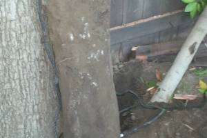 Carpentry Fence Post Repair - Carpentry