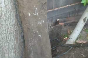 Carpentry Fence Post Repair - Carpentry