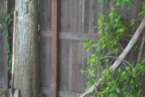 Carpentry Fence Post Repair - Carpentry