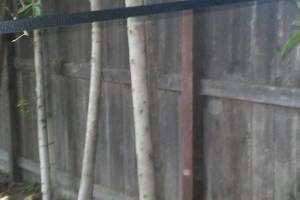 Carpentry Fence Post Repair - Carpentry