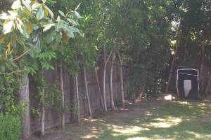 Carpentry Fence Post Repair - Carpentry