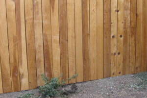 Carpentry Fence Stain Refinish - Carpentry