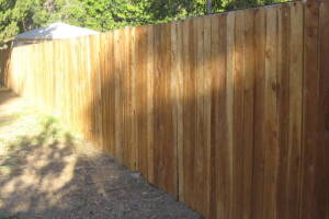 Carpentry Fence Stain Refinish - Carpentry