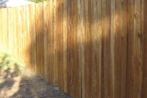 Carpentry Fence Stain Refinish - Carpentry