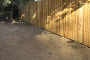 Carpentry Fence Stain Refinish - Carpentry