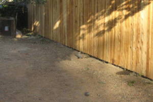 Carpentry Fence Stain Refinish - Carpentry