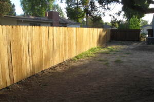 Carpentry Fence Stain Refinish - Carpentry