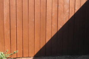 Carpentry Fence Stain Refinish - Carpentry