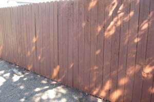 Carpentry Fence Stain Refinish - Carpentry